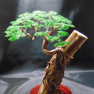 Wire tree, Wire Bonsai
