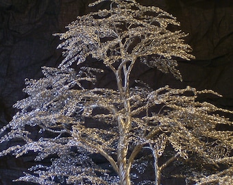 Wire Tree, Bonsai