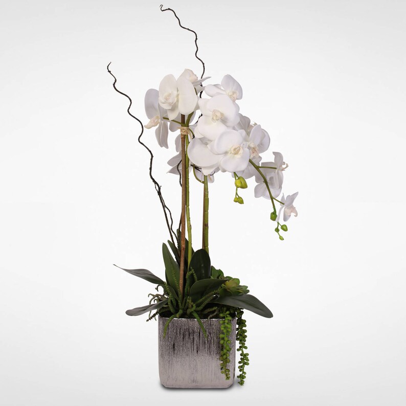 Real Touch White Silk Orchids and Succulents Arrangement in Etsy