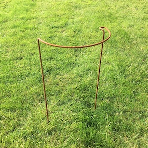 May include: A rust-coloured metal plant support with a curved top. The support is standing on a green grassy lawn.