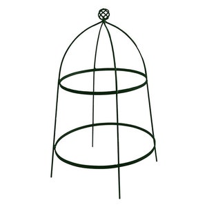 May include: A black metal plant cage with two circular supports. The cage has a pointed top with a decorative finial.