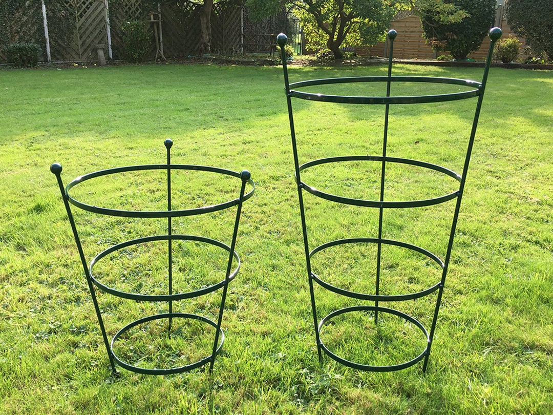Buy Plastic Coated Peony Cage Plant Support in Sizes- Green