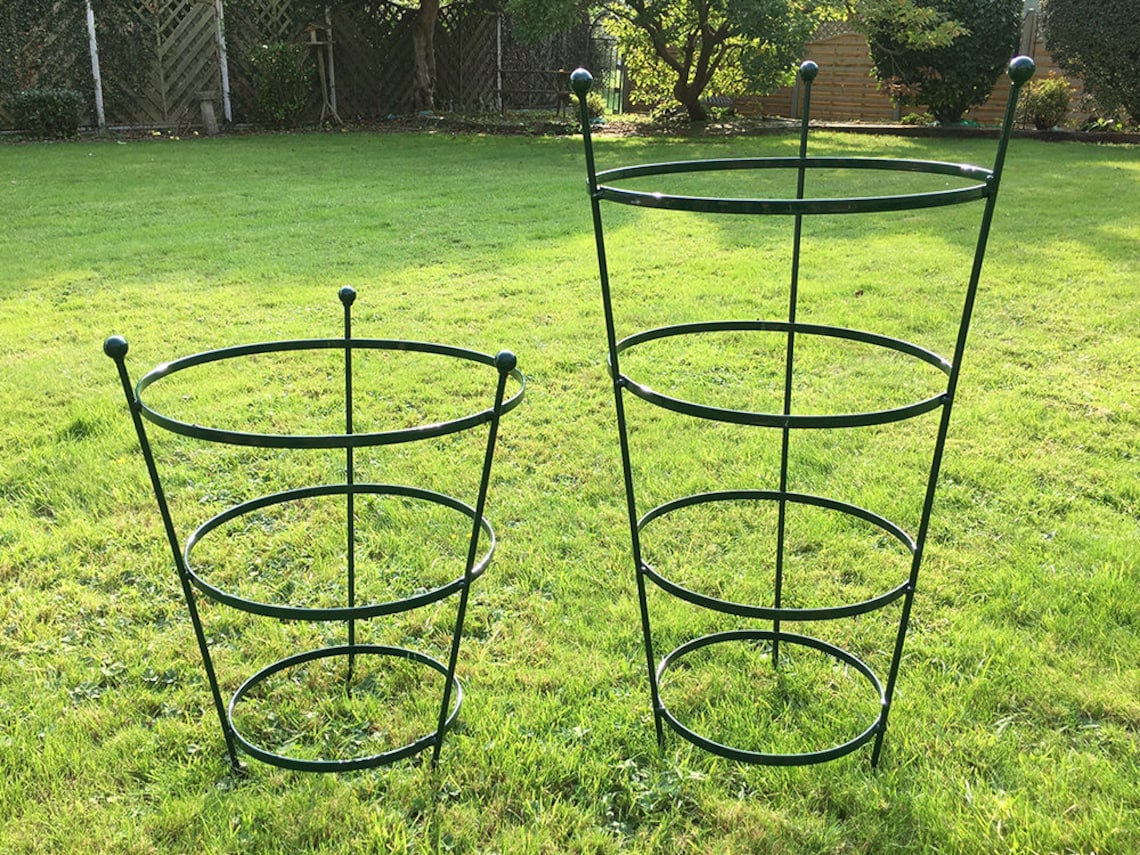 Plastic Coated Peony Cage Plant Support In 2 Sizes Etsy