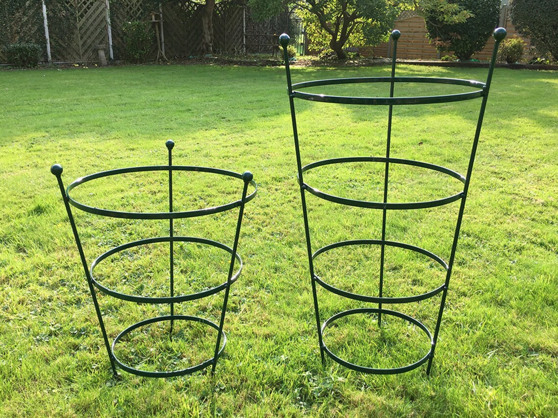 Plastic Coated Peony Cage Plant Support in 2 Sizes Etsy UK