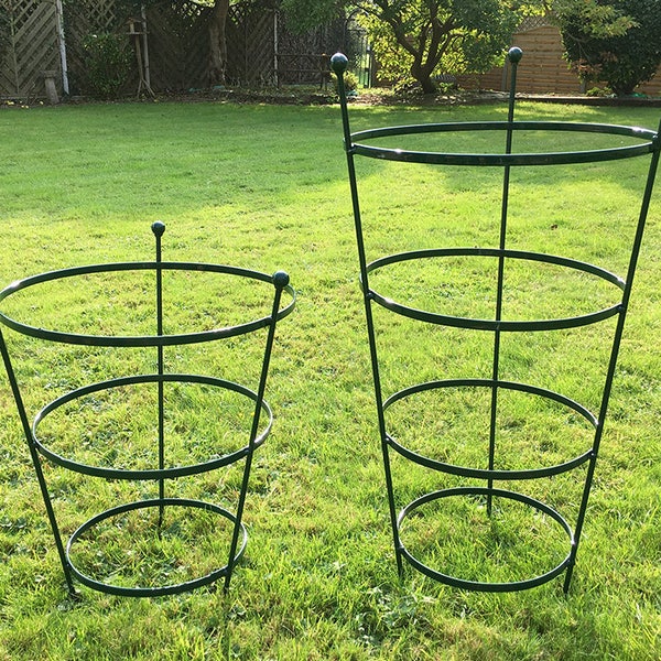 Plastic Coated Peony Cage - Plant Support - In 2 sizes