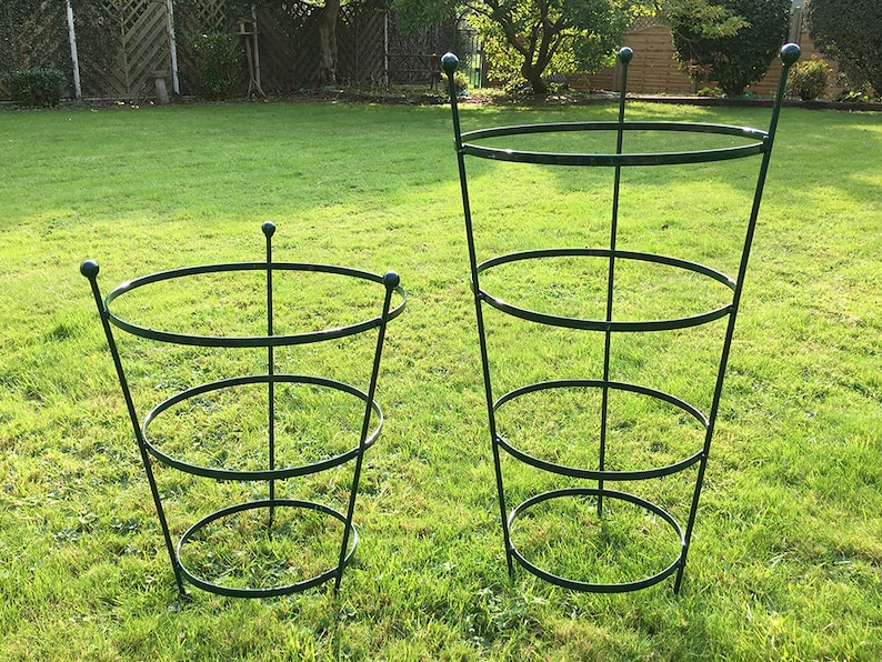 Plastic Coated Peony Cage Plant Support in 2 Sizes Etsy UK