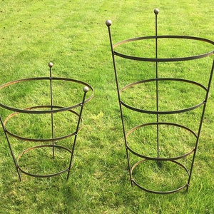 May include: Two metal plant supports, one tall and one short, with circular rings. Both supports are made of black metal and have rounded tops.