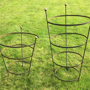 Rusty Peony Cage - Plant Support - In 2 sizes