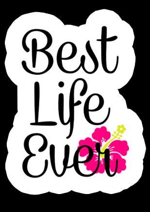 Life Ever Best Life Ever Text 21 Sticker Pack - Etsy