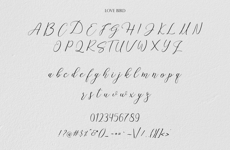 Love Bird Script Font: Modern Calligraphy (digital Download) - Etsy