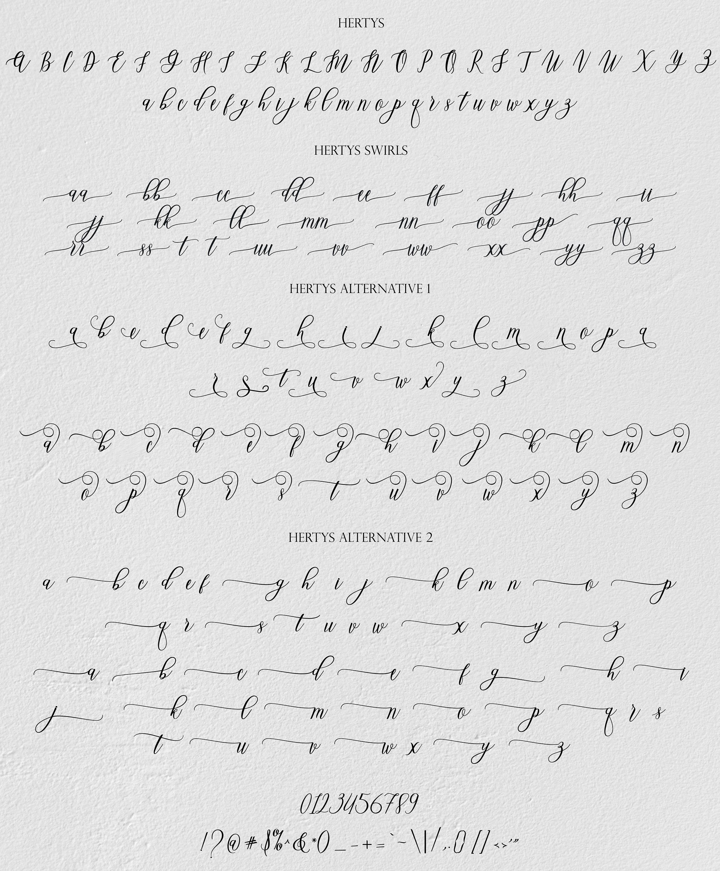 Hertys Cursive Font: Modern Swirly Calligraphy (TTF Digital Download ...