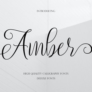 Amber Calligraphy Font: Modern Script (Digital Download)