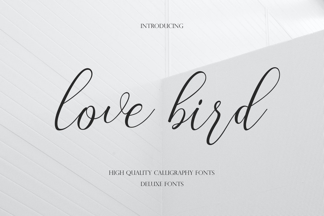Love Bird Script Font: Modern Calligraphy (digital Download) - Etsy