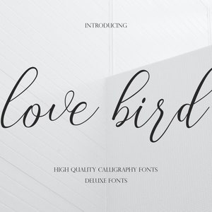 Calligraphy font, Digital font, Font download, Handwritten font, Feminine font, Script Font, Wedding font, Modern font.Font Instant download