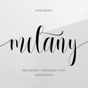 Calligraphy Font Set: 5 Modern Script Fonts (digital Download) - Etsy