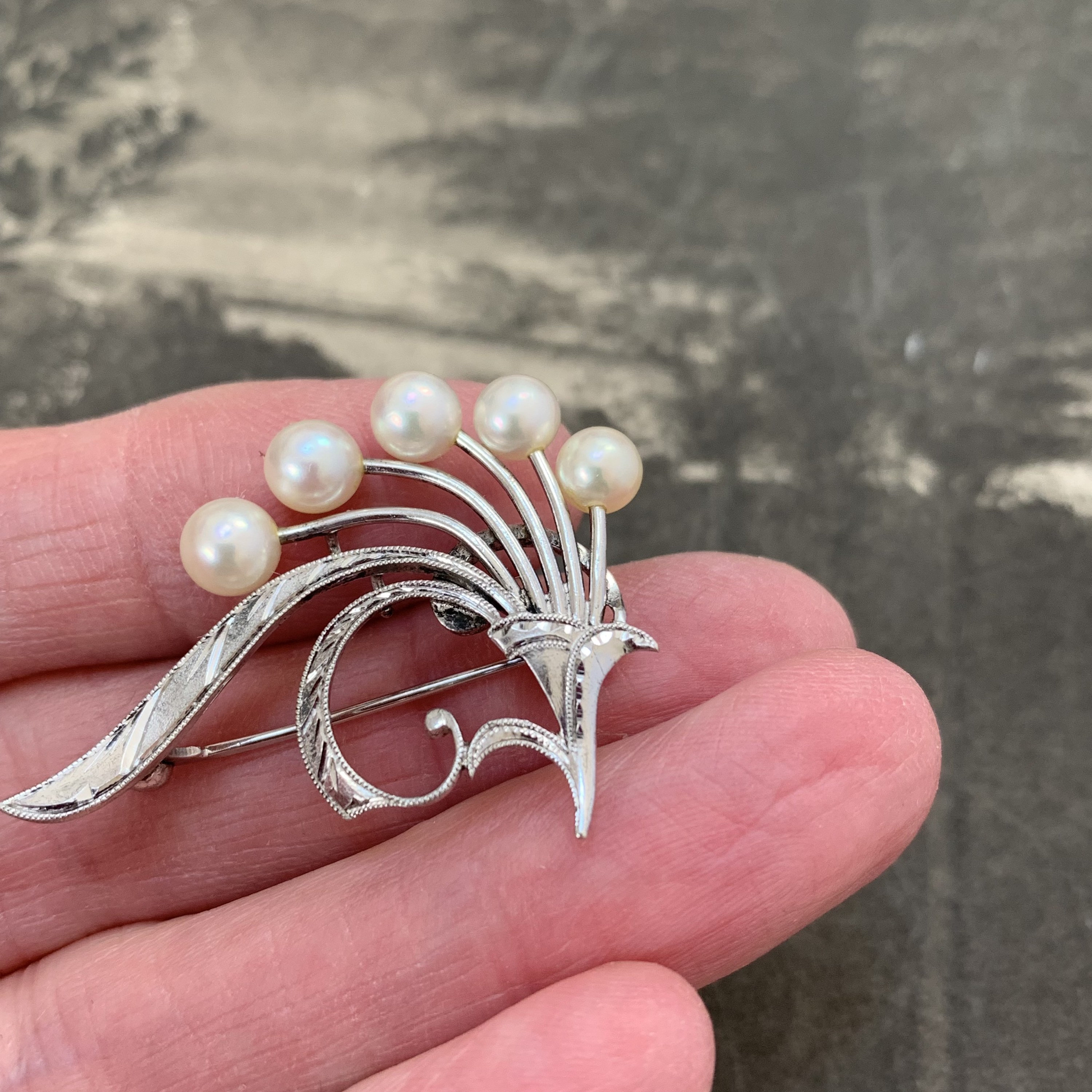 Mikimoto pearl brooch. 5mm gem quality akoya pearls in a Mikimoto pearl brooch. 5mm gem quality akoya pearls in a