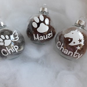 Könnte beinhalten: Drei transparente gläserne Weihnachtskugeln, gefüllt mit Tierfell. Jede Kugel hat einen weißen Pfotenabdruck mit Flügeln, einen weißen Pferdekopf mit Sternen und einen weißen Pfotenabdruck mit den Namen Chip, Chanty und Mauzi.