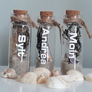 small coastal bottle as a souvenir of the holiday guest gift glass vase filled with natural materials message in a bottle mini bottles as decoration