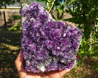 NEW! Lovely Standing Amethyst Cluster from Brazil