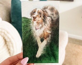 Hand Drawn Pet Portrait in Colored Pencil. Special memory gift for family, sister, brother, friend.