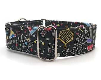 Science Nerd Martingale Dog Collar, Buckle Collar, Puppy Training Collar