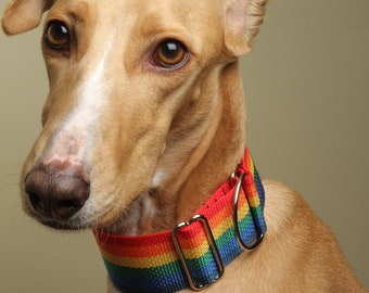 Rainbow Pride Dog Collar, LGBTQ, Martingale or Buckle Collar