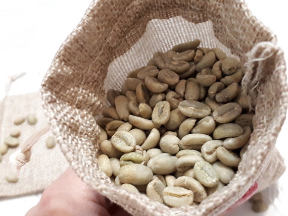 Unroasted Coffee Beans >> 1 Kg Ethiopian Green Coffee Beans Unroasted Coffee Fragrant African Coffee Yirgacheffe Coffee Ethiopian Arabica Best Coffee Unroasted Coffee Beans >> 1 Kg Ethiopian Green Coffee Beans Unroasted Coffee Fragrant African Coffee Yirgacheffe Coffee Ethiopian Arabica Best Coffee