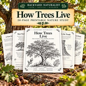 Puede incluir: Un estudio de la naturaleza imprimible de 20 páginas titulado How Trees Live, con ilustraciones en blanco y negro de árboles, hojas y brotes en papel color crema. La portada muestra el texto Backyard Naturalist, How Trees Live y Look Notice Wonder.