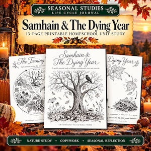 Könnte beinhalten: Ein 13-seitiges, ausdruckbares Homeschooling-Lernpaket mit dem Titel Samhain & The Dying Year. Die Seiten enthalten schwarz-weiße Tuschezeichnungen eines Baumes, jahreszeitlicher Zyklen und Blattzersetzung sowie Texte zu Naturstudien.