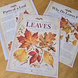 Leaves Unit Study for Kids | Fall Nature Study | Printable Homeschool Science Activities