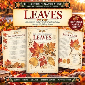 以下が含まれることがあります： 「The Autumn Naturalist Leaves」と題された印刷可能な自然学習ジャーナル。秋の葉やどんぐりのイラスト、自然観察やライフサイクルに関するテキストが記載された3ページで構成されています。