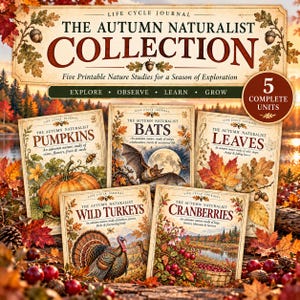 以下が含まれることがあります： The Autumn Naturalist Collectionと題された5冊の印刷可能な自然学習ジャーナル。表紙にはカボチャ、コウモリ、葉、野生の七面鳥、クランベリーのイラストと、各テーマに関するテキストが記載されています。