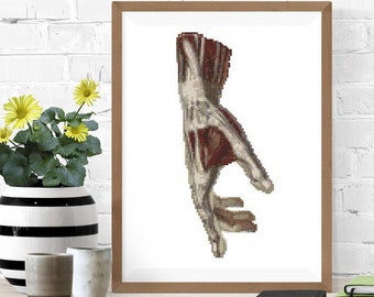 Anatomy Cross Stitch Pattern, Human Hand Embroidery (PDF Pattern)