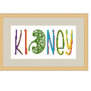 Einfache Niere Kreuzstich Muster Spaß DIY Stickerei Geschenk Idee Arzt PDF medizinische 5 Farben Muster nur 100 x 45 Stiche