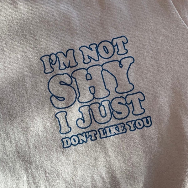 I Don't Like You T-Shirt