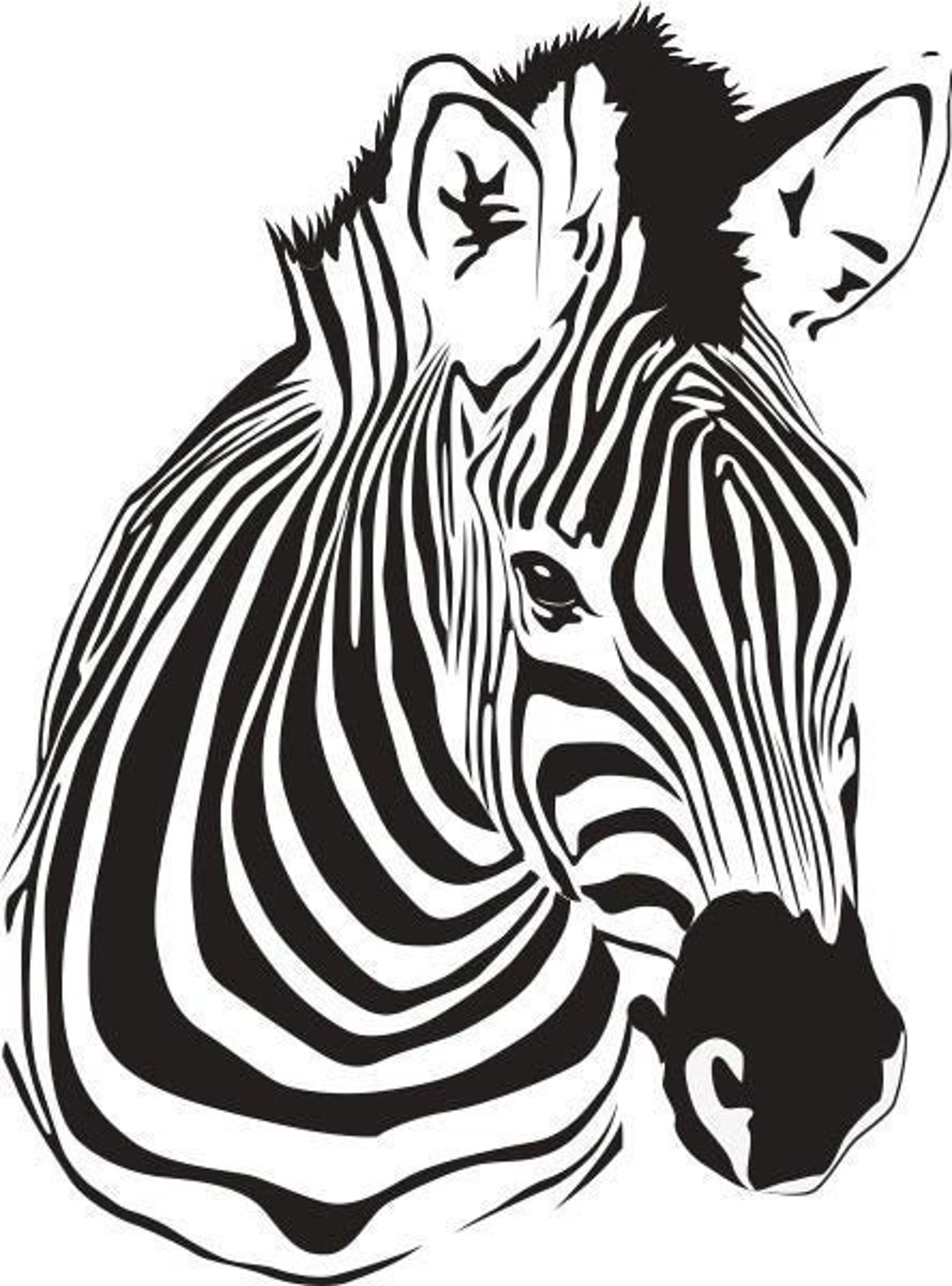 Zebra SVG Zebra Print African Animal Clip Art Wall Decor | Etsy