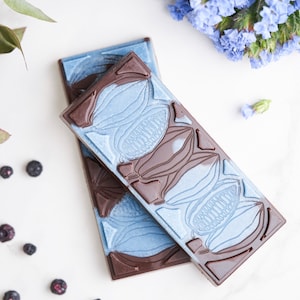 Raw vegan Blueberry chocolate  bar  No bake desert -Mother&#39;s Day - Vegan Gifts - Gift Boxes