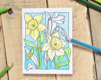 Daffodil Vintage Coloring Cards - Floral Bordered Art, Adult Coloring - 6 Flower Cards - Everyday Coloring Cards - Notecard Set  A2 Cards