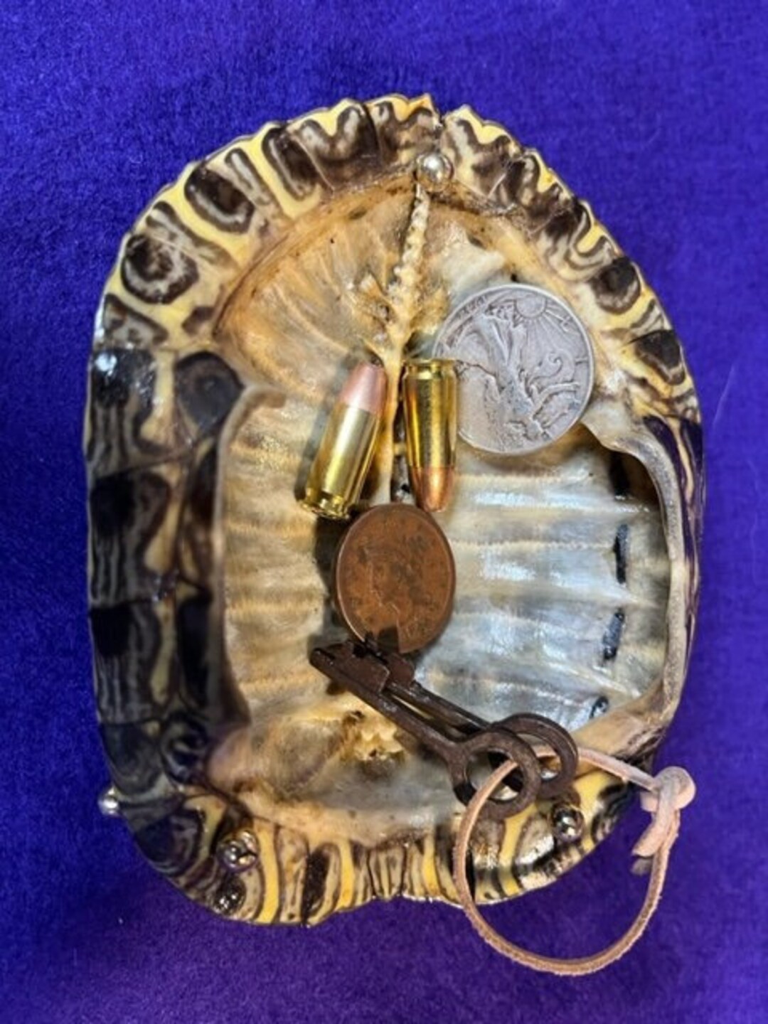 Turtle Shell Bowl, 3 legs Etsy