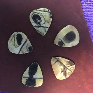 Turtle shell guitar pick