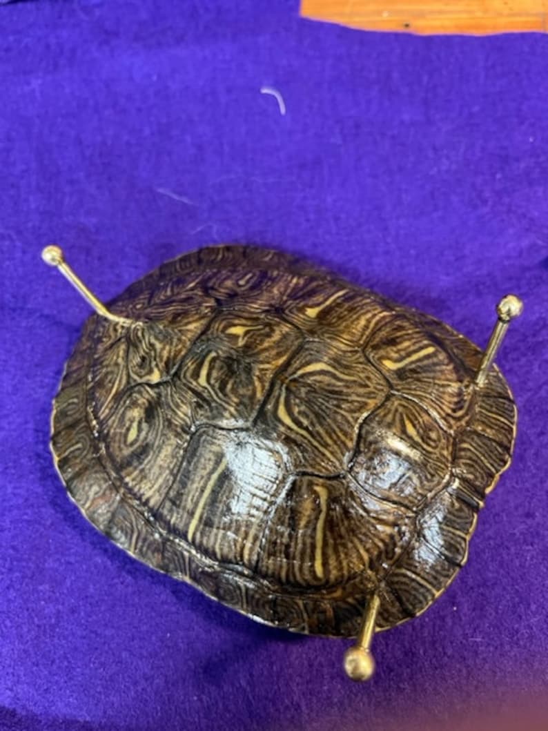 Turtle Shell Bowl, 3 legs Etsy