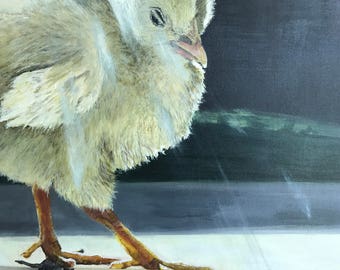 Chick in Sunlight