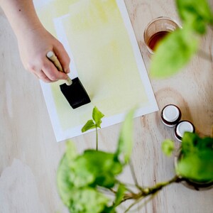 Peut inclure: Une main tenant un pinceau noir au-dessus d'une feuille de papier blanche avec une lavis aquarelle jaune. Le papier est sur une surface en bois clair avec une plante verte en arri&egrave;re-plan.