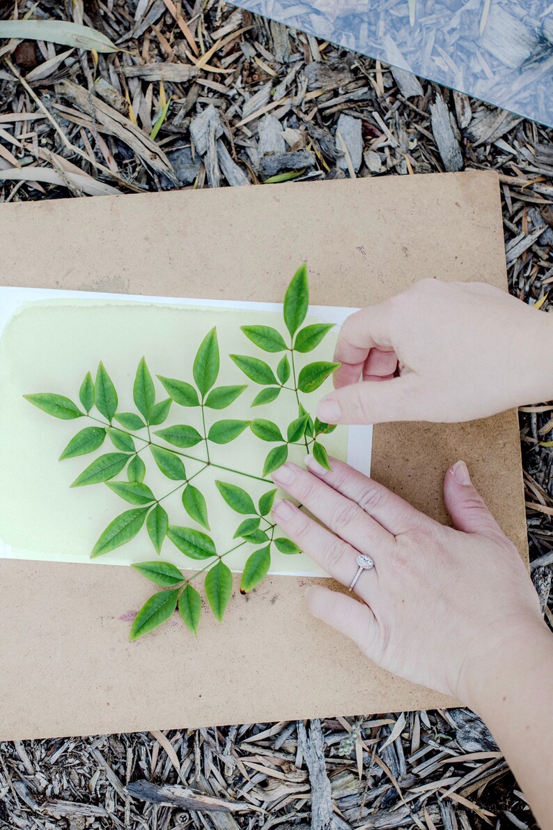 Peut inclure: Des mains posent une branche de feuilles vertes sur une feuille de papier jaune clair sur une surface brune.