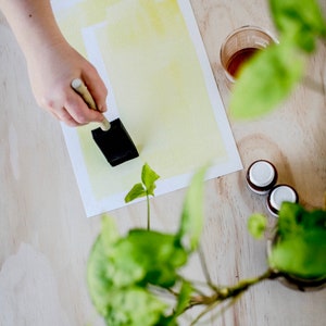 Kit de cianotipo de bricolaje