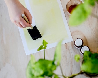 Kit DIY pour cyanotype