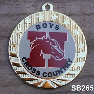 Custom Insert Medals Recognition Medals Insert Medals Scholastic Medals Award Medals Achievement Medals Custom Medals Running Medals Medals