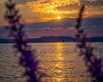 Lake Champlain Sunset - Landscape Print - Vermont Print - Sunset Print