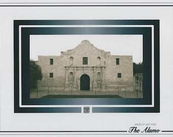 THE ALAMO dirt/soil