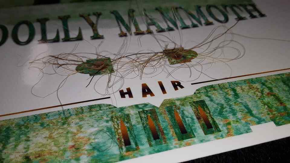 Woolly Mammoth HAIR - Etsy